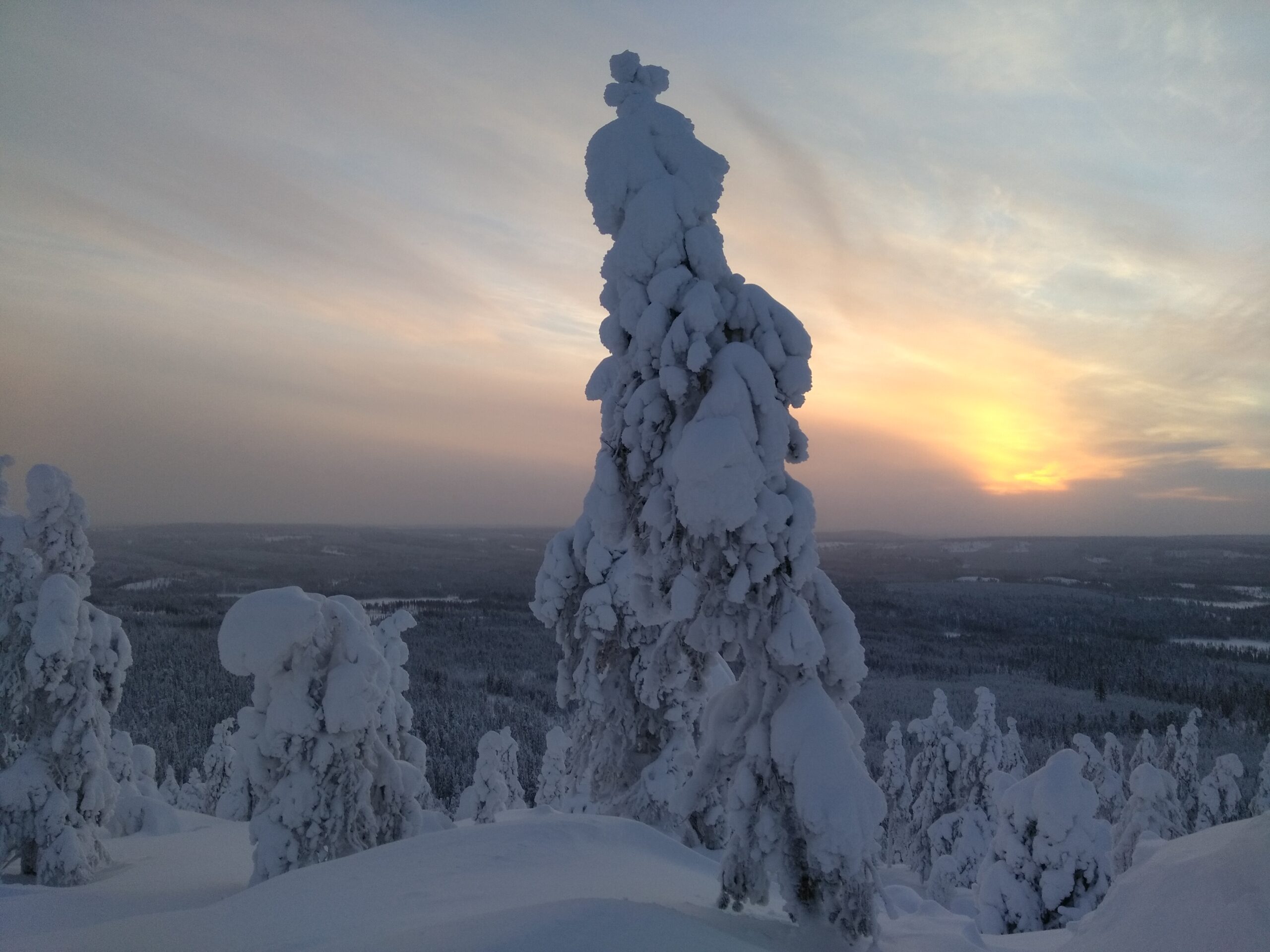 Tälle kuvalle ei ole vaihtoehtoista kuvatekstiä. Tiedoston nimi on IMG_20190116_102836-scaled.jpg